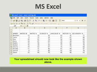 MS Excel
Your spreadsheet should now look like the example shown
above.
 