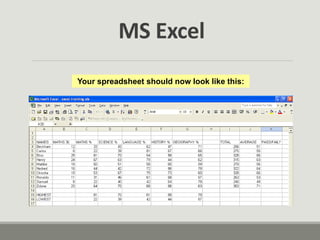 Your spreadsheet should now look like this:
MS Excel
 