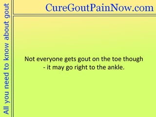 Not everyone gets gout on the toe though  - it may go right to the ankle. 