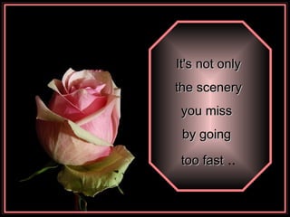 It's not only the scenery  you miss  by going  too fast  .. 