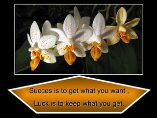 Succes is to get what you want , Luck is to keep what you get. 
