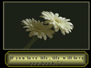 "If you love life, life will love you back."   ! 