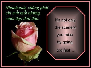 It's not only the scenery  you miss  by going  too fast  .. Nhanh quá, chẳng phải chỉ mất mỗi những cảnh đẹp thôi đâu. 