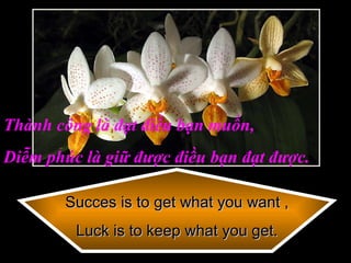 Succes is to get what you want , Luck is to keep what you get. Thành công là đạt điều bạn muốn, Diễm phúc là giữ được điều bạn đạt được. 