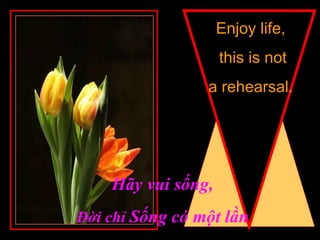 Enjoy life, this is not a rehearsal.  Hãy vui sống, Đời chỉ  Sống có một lần 