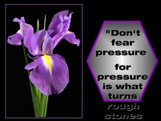 "Don't fear pressure  for pressure is what turns rough stones into diamonds"   