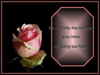 It's not only the scenery  you miss  by going too fast  .. 