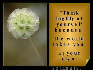 "Think highly of yourself because  the world takes you  at your own  estimate."   