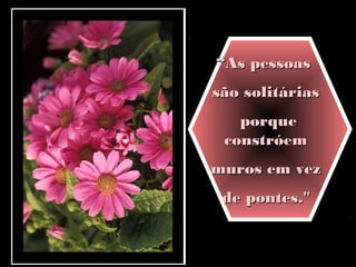 ““As pessoasAs pessoas
são solitáriassão solitárias
porqueporque
constróemconstróem
muros em vezmuros em vez
de pontes."de pontes."
 