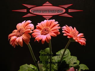 Tenha um lindo dia!Tenha um lindo dia!
Tradução:
J.R. Briganti
 