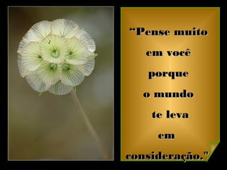 ““Pense muitoPense muito
em vocêem você
porqueporque
o mundoo mundo
te levate leva
emem
consideração."consideração."
 