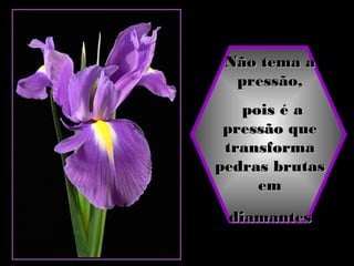 Não tema aNão tema a
pressão,pressão,
pois é apois é a
pressão quepressão que
transformatransforma
pedras brutaspedras brutas
emem
diamantesdiamantes
 