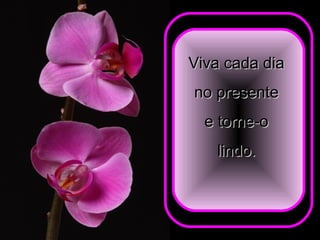 Viva cada diaViva cada dia
no presenteno presente
e torne-oe torne-o
lindo.lindo.
 
