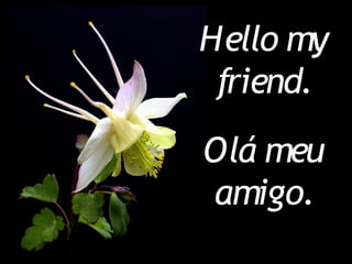 Hello myHello my
friend.friend.
Olá meuOlá meu
amigo.amigo.
 