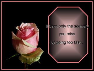 It's not only the scenery  you miss  by going too fast  .. 