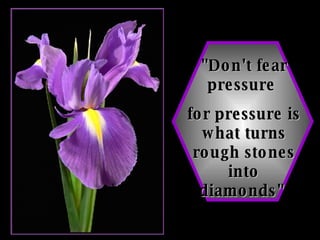 "Don't fear pressure  for pressure is what turns rough stones into diamonds"   