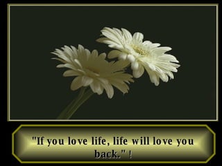 "If you love life, life will love you back."   ! 