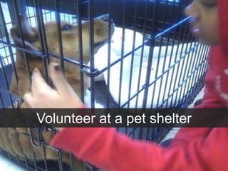 Volunteer at a pet shelter
 
