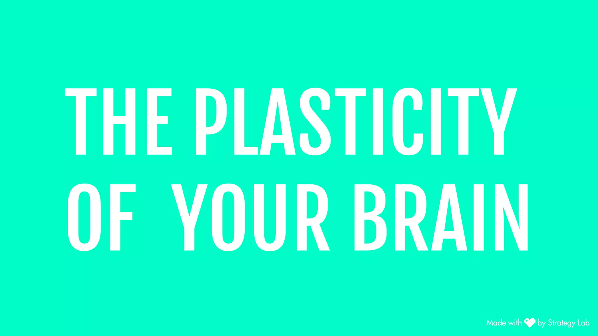 THE PLASTICITY
OF YOUR BRAIN
