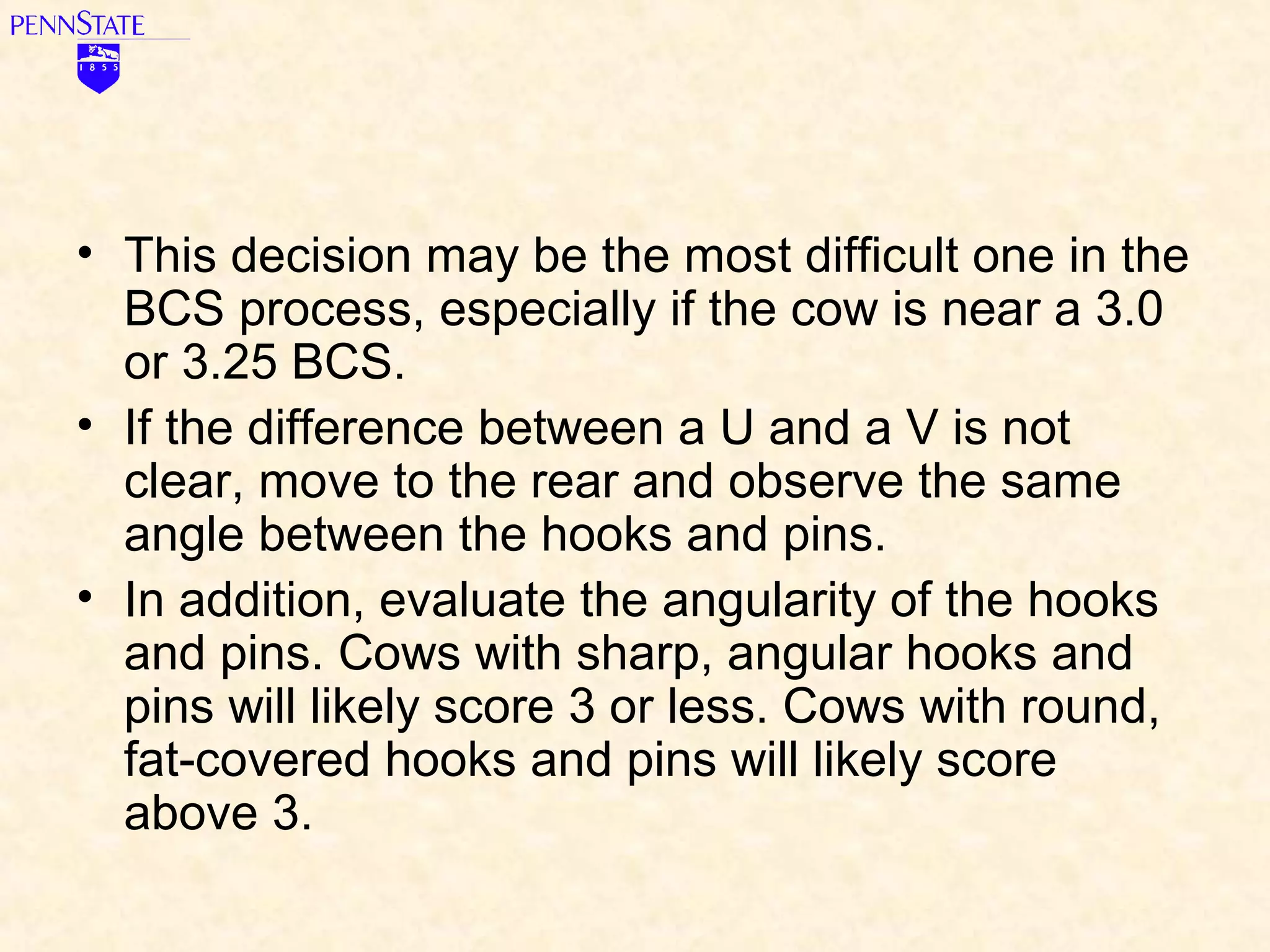 Learn to Score Body Condition for Dairy Cows | PPT