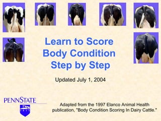 Learn to Score
Body Condition
 Step by Step
  Updated July 1, 2004



    Adapted from the 1997 Elanco Animal Health
 publication, "Body Condition Scoring In Dairy Cattle."
 