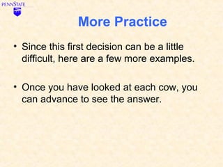 More Practice
• Since this first decision can be a little
  difficult, here are a few more examples.

• Once you have looked at each cow, you
  can advance to see the answer.
 