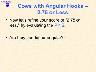 Cows with Angular Hooks –
            2.75 or Less
• Now let's refine your score of "2.75 or
  less," by evaluating the PINS.

• Are they padded or angular?
 