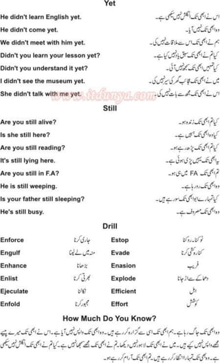 Learn To Speak English In 100 Days Urdu Pdf Book