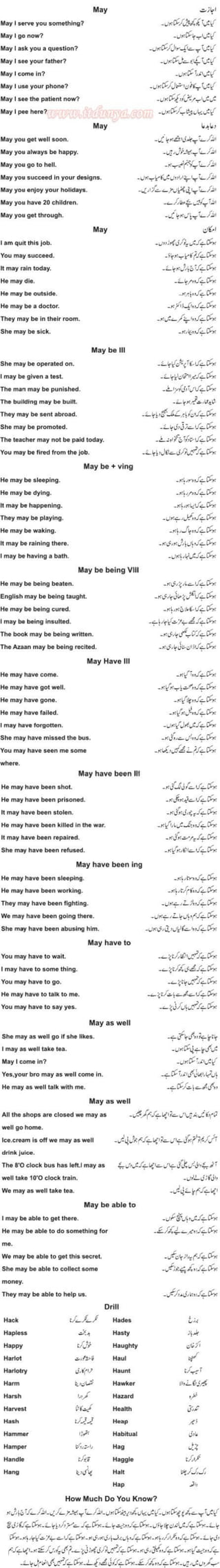 Learn To Speak English In 100 Days Urdu Pdf Book