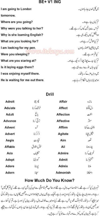 Learn To Speak English In 100 Days Urdu Pdf Book
