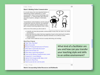 What kind of a facilitator are you and how can you transfer your teaching style and skills to an online environment?