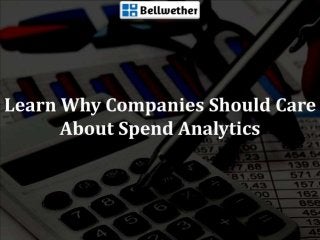 Learn Why Companies Should Care About Spend Analytics