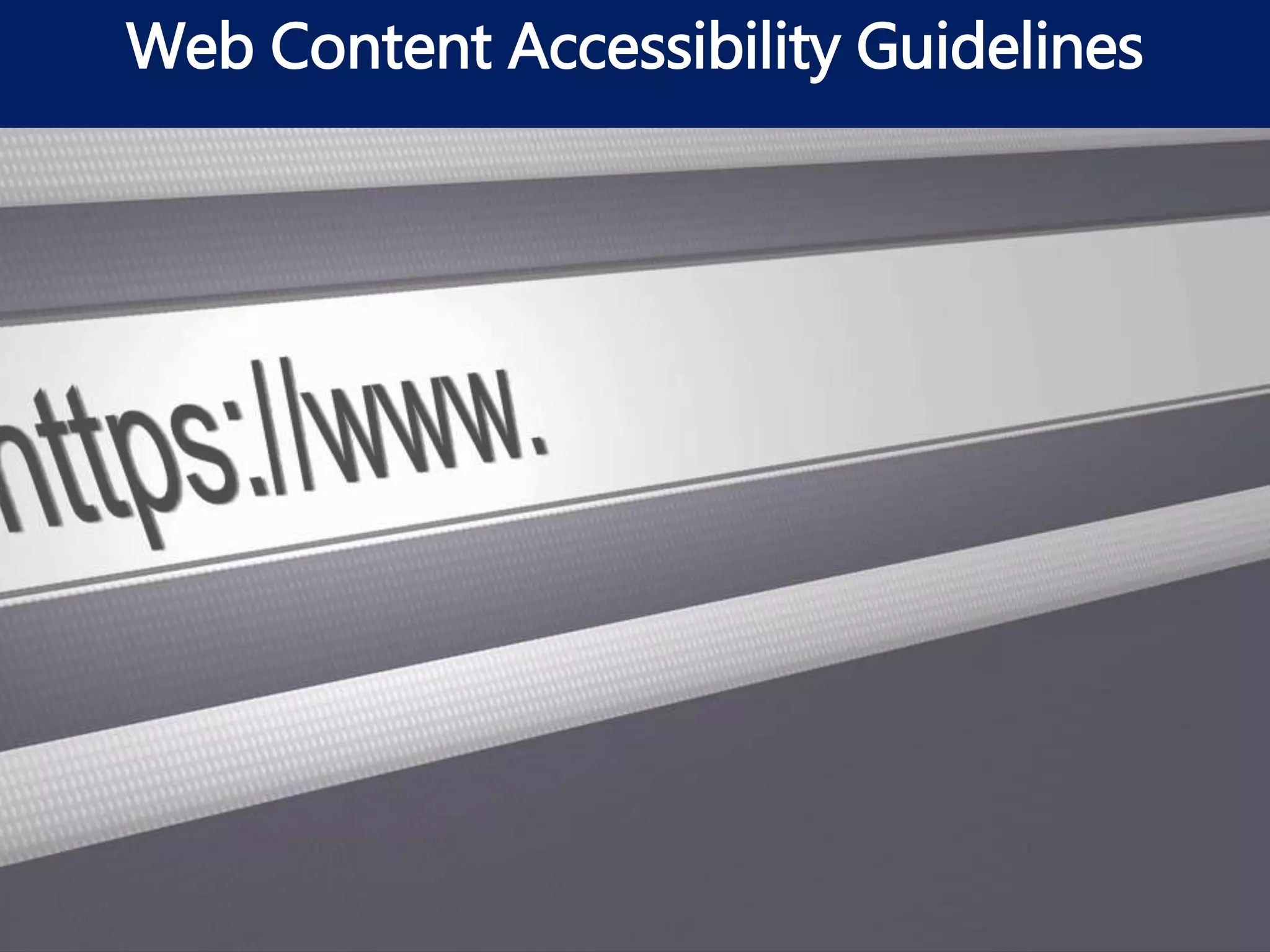 Web Content Accessibility Guidelines
 
