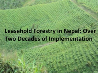 Leasehold Forestry in Nepal: Over 
Two Decades of Implementation 
 