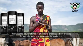 Harness the power of mobile phones to encourage best practice 
for dairy farmers and increase milk production. 
 