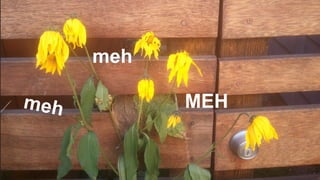 MEH 
meh 
meh 
14/11/2014 3 
 