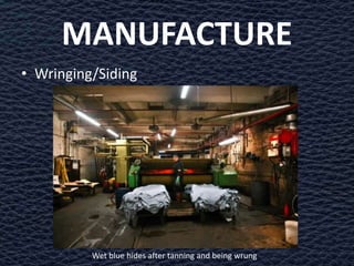 MANUFACTURE
• Wringing/Siding




          Wet blue hides after tanning and being wrung
 
