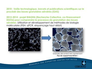 2010 : Veille technologique, brevets et publications scientifiques sur le
procédé des boues granulaires aérobies (GAS)
2013-2014 : projet BIAGRA (Recherche Collective, co-financement
DGO6) pour comprendre le processus de granulation des boues
aérobies. Utilisation et développement de méthodes de biologie
moléculaire (FISH, qPCR, séquençage haut débit)
Granules décantent très rapidement
Pas de support bactérien !
 