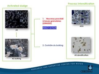 Process intensification
1. Nouveau procédé
à boues granulaires
(GRASS®)
INNOVATION
2. Contrôle du bulking
AS
AS bulking
Activated sludge
AGS
AS densification
 