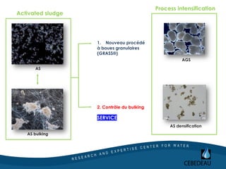 Process intensification
1. Nouveau procédé
à boues granulaires
(GRASS®)
2. Contrôle du bulking
SERVICE
AS
AS bulking
Activated sludge
AGS
AS densification
 