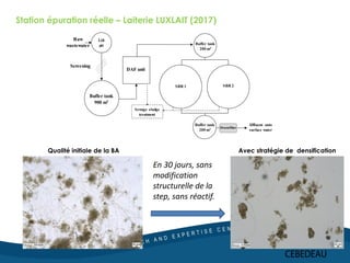 Station épuration réelle – Laiterie LUXLAIT (2017)
Raw
wastewater
Screening
Buffer tank
900 m3
Lift
pit Buffer tank
200 m3
Effluent onto
surface water
Drumfilter
SBR 2SBR 1
Sewage sludge
treatment
DAF unit
Buffer tank
200 m3
Qualité initiale de la BA Avec stratégie de densification
En 30 jours, sans
modification
structurelle de la
step, sans réactif.
 