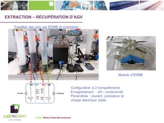 EXTRACTION – RÉCUPÉRATION D’AGV
CERISIC HELHA/ CHIMIE-BIOTECHNOLOGIE
 