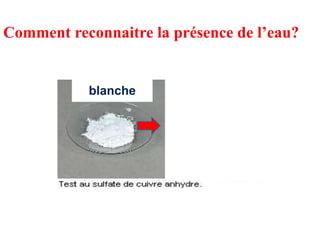 Comment reconnaitre la présence de l’eau?
blanche bleue
 