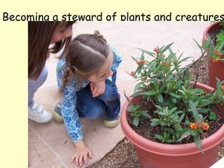 Becoming a steward of plants and creatures 
