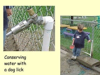 Conserving water with  a dog lick 