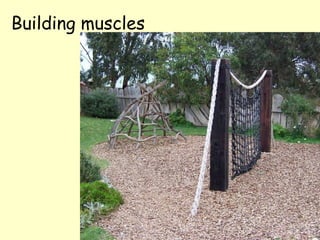 Building muscles 