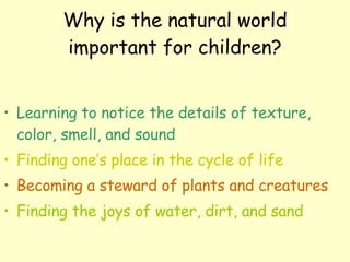 Why is the natural world important for children? Learning to notice the details of texture, color, smell, and sound Finding one’s place in the cycle of life Becoming a steward of plants and creatures Finding the joys of water, dirt, and sand 