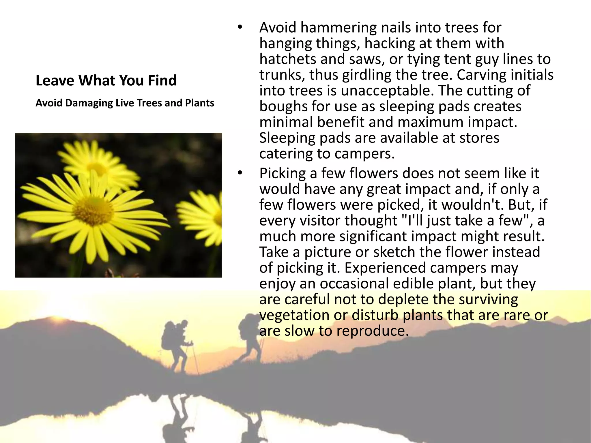 • Avoid hammering nails into trees for
                                         hanging things, hacking at them with
                                         hatchets and saws, or tying tent guy lines to
Leave What You Find                      trunks, thus girdling the tree. Carving initials
                                         into trees is unacceptable. The cutting of
Avoid Damaging Live Trees and Plants     boughs for use as sleeping pads creates
                                         minimal benefit and maximum impact.
                                         Sleeping pads are available at stores
                                         catering to campers.
                                       • Picking a few flowers does not seem like it
                                         would have any great impact and, if only a
                                         few flowers were picked, it wouldn't. But, if
                                         every visitor thought "I'll just take a few", a
                                         much more significant impact might result.
                                         Take a picture or sketch the flower instead
                                         of picking it. Experienced campers may
                                         enjoy an occasional edible plant, but they
                                         are careful not to deplete the surviving
                                         vegetation or disturb plants that are rare or
                                         are slow to reproduce.
 