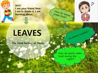 ALLPPT.com _ Free PowerPoint Templates, Diagrams and Charts
LEAVES
The Food Factory of Plants
Hi!!!!
I am your friend Roni
I am in Grade 4. I am
learning about
How do plants make
food during the
night??
 