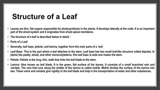 Structure of a Leaf
• Leaves are thin, flat organs responsible for photosynthesis in the plants. It develops laterally at the node. It is an important
part of the shoot system and it originates from shoot apical meristems.
• The structure of a leaf is described below in detail :
• Parts of a Leaf
• Generally, leaf base, petiole, and lamina, together form the main parts of a leaf.
• Leaf Base: This is the part where a leaf attaches to the stem. Leaf base has two small leaf-like structure called stipules. In
plants like paddy, wheat, and other monocotyledons, this leaf base is wide and masks the stem.
• Petiole: Petiole is the long, thin, stalk that links the leaf blade to the stem.
• Lamina: Also known as leaf blade. It is the green, flat surface of the leaves. It consists of a small branched vein and
veinlets. The vein that runs along the middle of the lamina is called midrib. Midrib divides the surface of the lamina into
two. These veins and veinlets give rigidity to the leaf blade and help in the transportation of water and other substances.
 